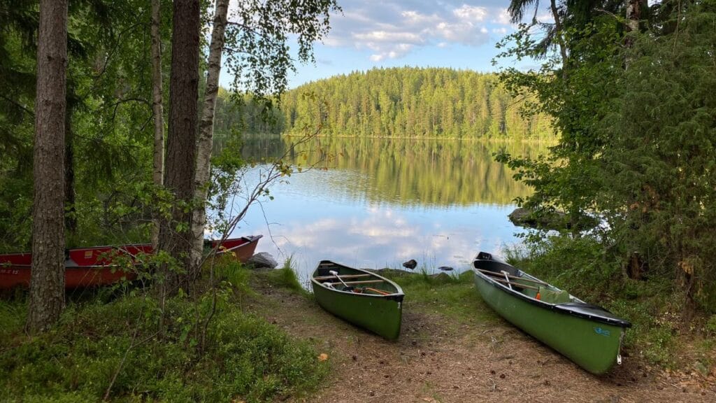Lippukuntatiedote 3/2025 - Lue lisää